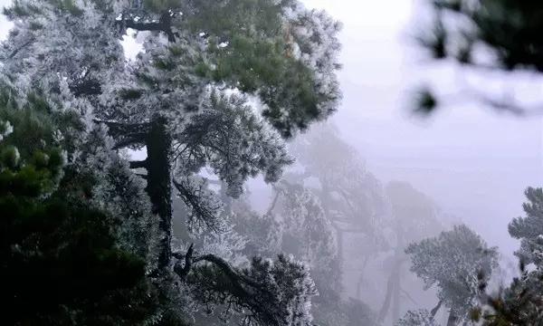 泡泡升空记8