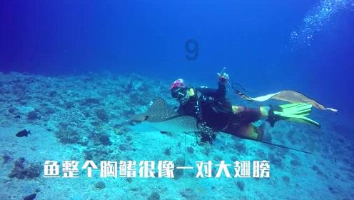 明星是不是不能用微商东西一旦用了是不是被封杀游戏画面